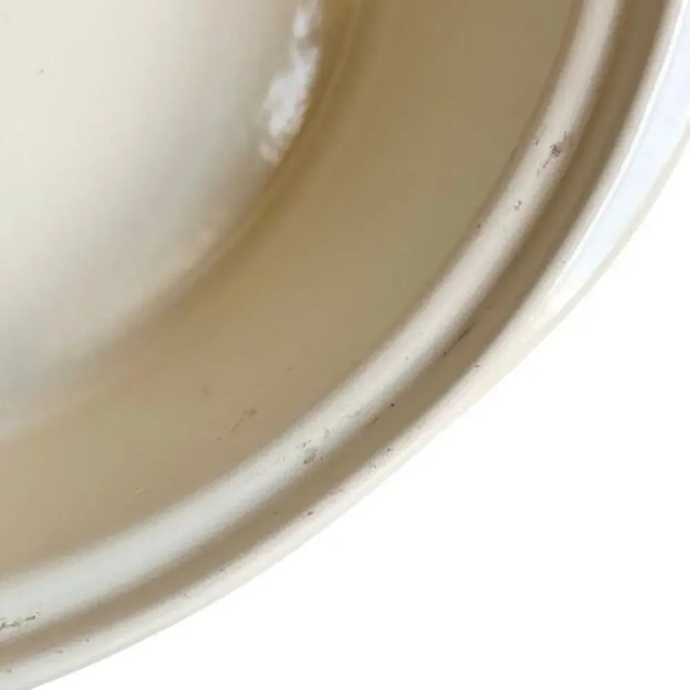 Chasseur French Duck Enameled Cast iron 1.25 QT Casserole baking Dish Green‎